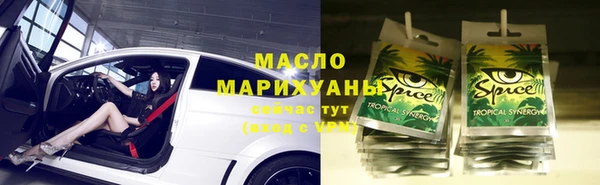 хмурый Аркадак