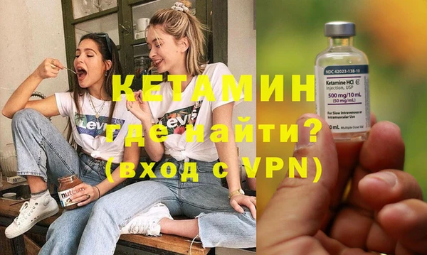 хмурый Аркадак