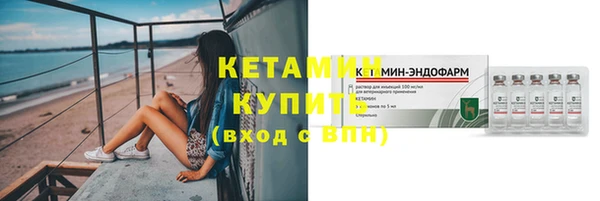 хмурый Аркадак