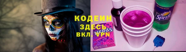 хмурый Аркадак