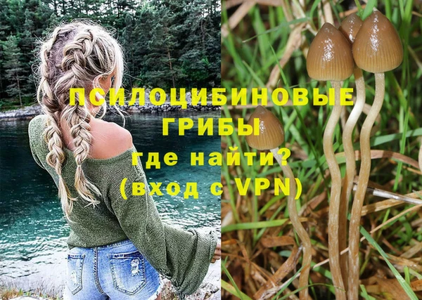 гидропоника Балабаново