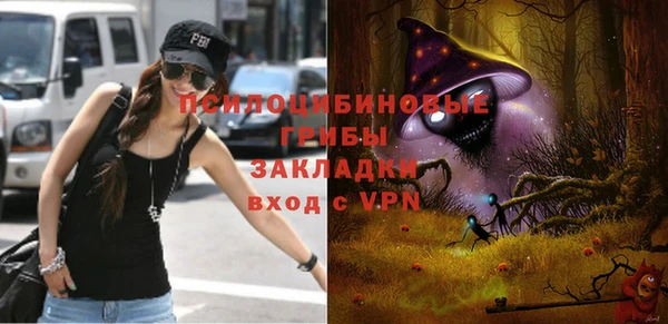 хмурый Аркадак