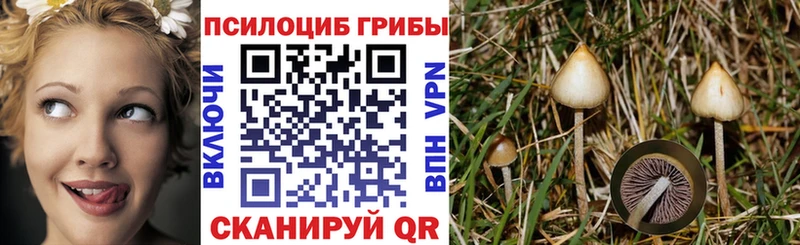 Псилоцибиновые грибы GOLDEN TEACHER  Нея 
