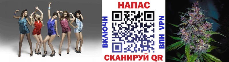 Конопля Ganja  Нея 